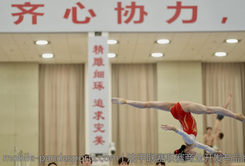 法甲联赛联赛商业开发与品牌建设